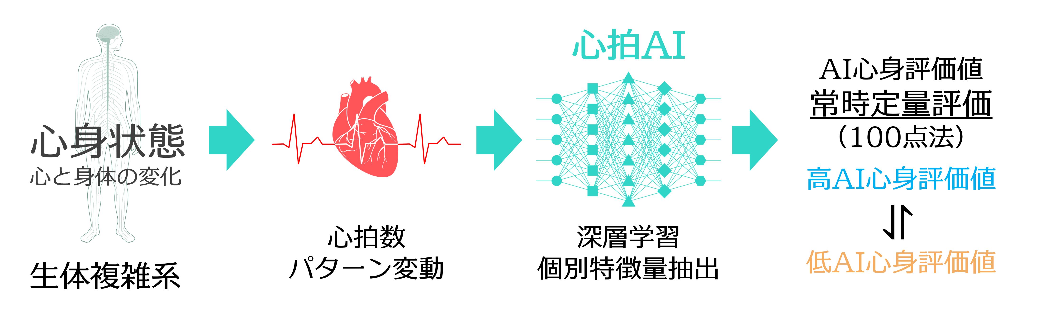 心身状態から心拍数パターン変動を経て心拍AIがAI心身評価値を算出する流れ
